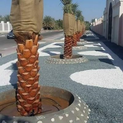 قص-اشجار-7.jpg