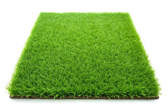 305995a5bbef0d1e1af0f6265daef327