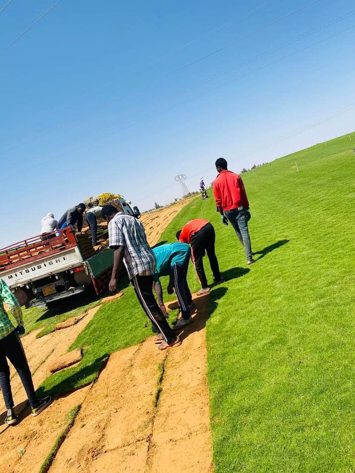 عشب-طبيعي-41