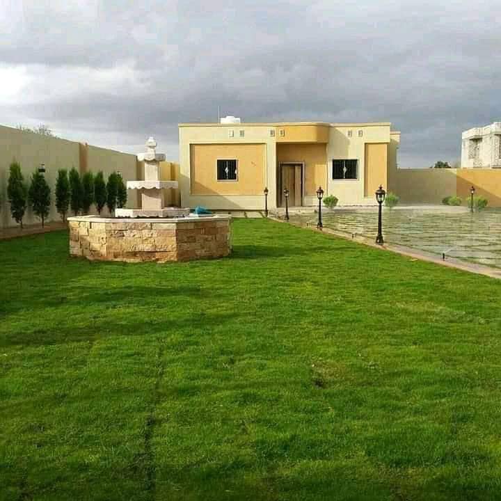 عشب-طبيعي-46