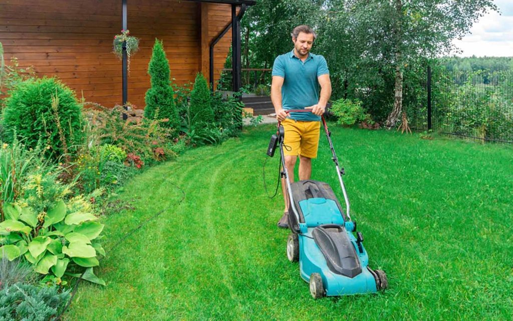 عشب-طبيعي-الرياض-15